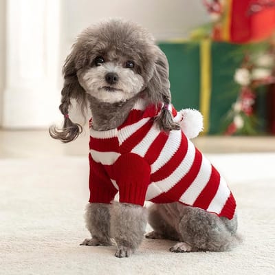 rode kleding voor kleine honden, puppyvest, hondenshirts voor kleine honden, rekbare trui, hondentrui met capuchon, M