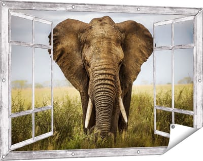 Gards Tuinposter Doorkijk Olifant in het Wild - Kleur - 120x80 cm - Tuindoek - Tuindecoratie - Wanddecoratie buiten - Tuinschilderij