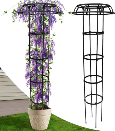 CLVP® Klimrek Planten - Plantensteunen voor Klimplanten - Wandrek voor Buiten - Zwart