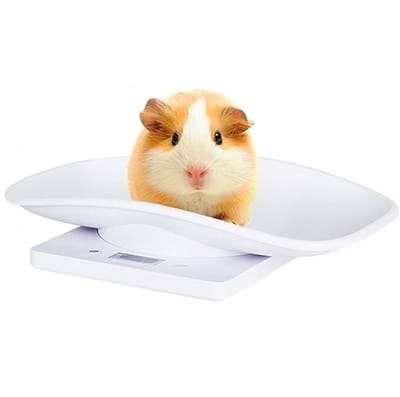 Elektronische huisdierenweegschaal, puppyweegschaal, precisieweegschaal geschikt voor kleine dieren zoals puppy's.