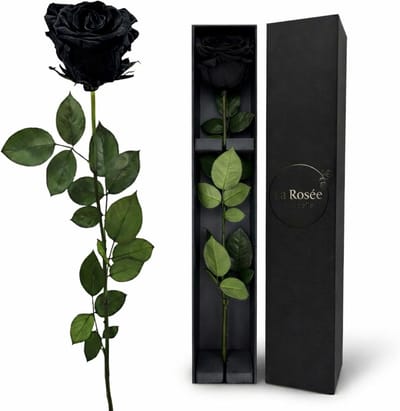 Geconserveerde Eeuwige Roos 48 cm - Natuurlijke Bloem uit Ecuador als Romantisch en Duurzaam Cadeau