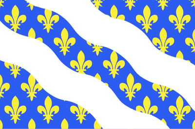 Vlag Yvelines 150x225cm