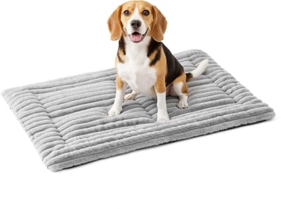 Feandrea - Hondendeken - Huisdierdeken voor Honden en Katten - Dubbelzijdig Gebruik - Wasbaar in de Machine