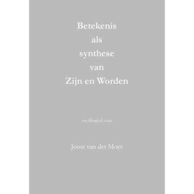 Betekenis Als Synthese Van Zijn En Worden - Joost van der Moer