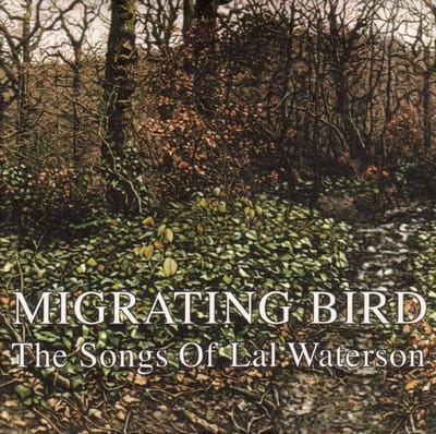 Migrating Bird