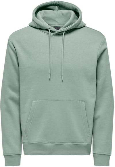 ONLY&SONS - ONSCONNOR LIFE REG SWEAT HOODIE NOOS - Heren - Sweaters