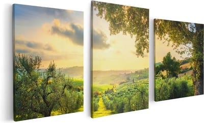 Artaza Canvas Schilderij Drieluik Olijvenbomen - Olijvengaard - 120x60 - Foto Op Canvas - Canvas Print