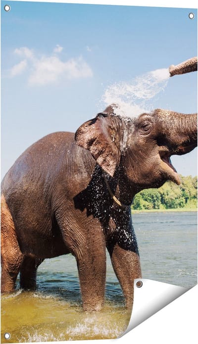 Gards Tuinposter Vrolijke Olifant in het Water - 60x90 cm - Tuindoek - Tuindecoratie - Wanddecoratie buiten - Tuinschilderij