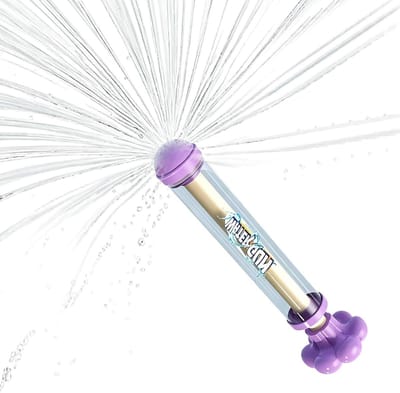 Water Spuit Speelgoed - Waterpistool Tuinsproeier - Buiten Spelen - Lichtgewicht Pomp Actie - 27 cm - Paars