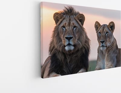 Saammp Canvas Schilderij - Leeuw en Leeuwin - Dieren - Natuur - 45x30 - Foto op canvas - Wanddecoratie - Muurdecoratie Woonkamer - Slaapkamer decoratie - Canvas Print