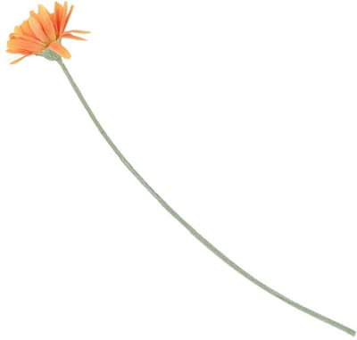 HomeBound by KY | Kunstbloem Spaanse margriet oranje | kunstbloem