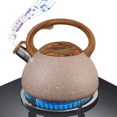 Waterkoker met fluitje - Theeketel Kookplaat - Water Koken - Roestvrij staal - 3 Liter Inhoud - Lichtbruin