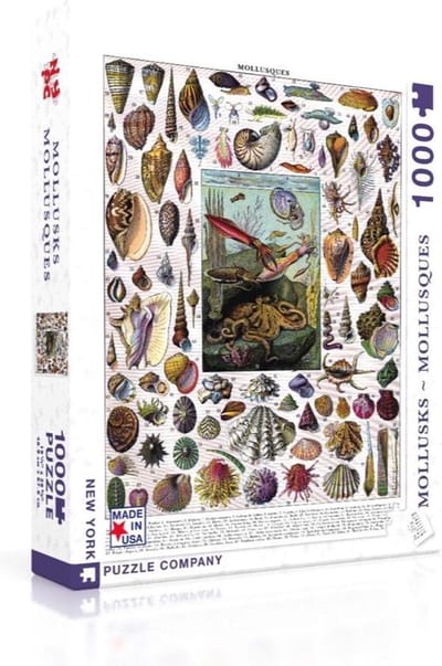 New York Puzzle Company - Vintage Images Mollusks - 1000 stukjes puzzel