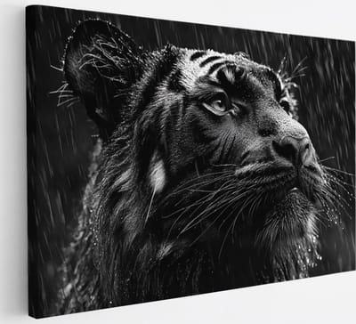 Saammp Canvas Schilderij - Tijger in de regen - portret - Natuur - Dieren - 30x20 - Foto op canvas - Wanddecoratie - muurdecoratie Woonkamer - Slaapkamer decoratie - Canvas Print