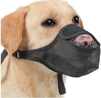 Dailygoods- Muilkorf grote hond - Verstelbare ring - Lichtgewicht - Opvouwbaar - Nylon - Ademend net - Hondenmuilkorf