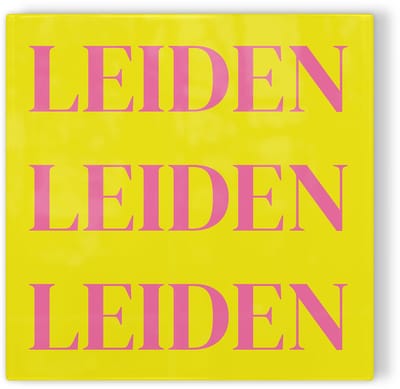 Tegeltje Leiden - geel roze - tegeltje stad - tegeltje met tekst