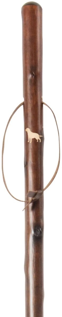 Gastrock Jachtstok - Labrador retriever - Bruin - Kastanjehout - Lengte 113 cm - Gewicht 430 gram - Wandelstokken - Jacht wandelstok - Voor heren en dames - Houten wandelstok - Jagers wandelstok - Wandelstok outdoor - Wandelstok hout