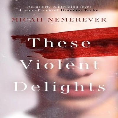 Ces Délices Violents par Micah Nemerever Livre de poche 9781836430438