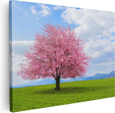 Artaza Canvas Schilderij Kersenbloesem - 40x30 cm - Klein - Wanddecoratie Bos - Muurdecoratie Landschap - Kamer Accessoires Natuur