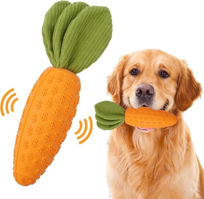 Kauwspeeltje voor honden, slijtvast en fluitend, geschikt voor alle rassen