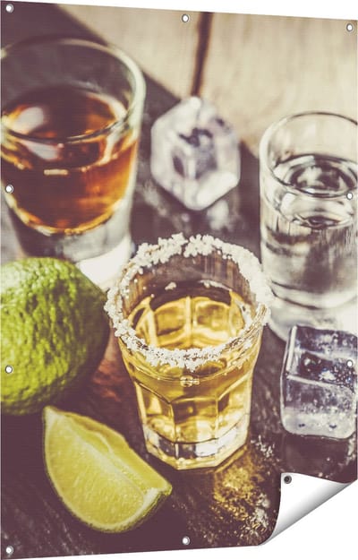 Gards Tuinposter Alcoholische Drankjes - Drank - 90x120 cm - Tuindoek - Tuindecoratie - Wanddecoratie buiten - Tuinschilderij