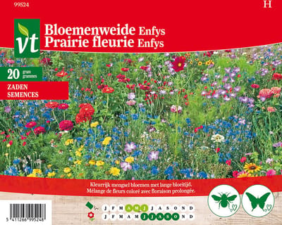 Bloemenweide Nectar zaadset - Kleurrijke habitat voor bijen en vlinders