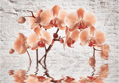 Fotobehangkoning - Behang - Vliesbehang - Fotobehang Oranje Orchideeën Bloemen - Witte Stenen - The Orange Arc - 150 x 105 cm