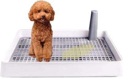 Hondentoilet Binnen - Puppy Trainingsbak - Zindelijkheidstraining Honden - Spatvrij Ontwerp - 38x30x6 cm