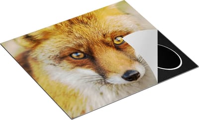 Chefcare Inductie Beschermer Vossenkop met Bruine Ogen - Vos - 60x50 cm - Afdekplaat Inductie - Kookplaat Beschermer - Inductie Mat