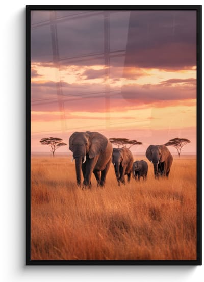 Poster in lijst - Fotolijst 80x120 cm - Posters - Groep olifanten - Open vlakte - Zon - Posterlijst zwart - Decoratie - Wanddecoratie woonkamer - Muurdecoratie slaapkamer