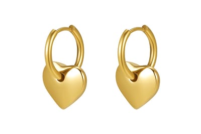 Di Lusso stainless steel oorringen Stelle met hartje