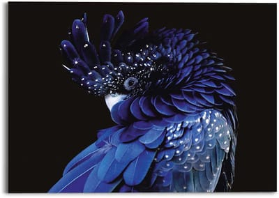 Plexiglasschilderij Blauwe papegaai - 50 x 70 - Acrylglas - REINDERS