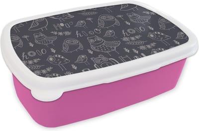 Broodtrommel Roze - Lunchbox - Brooddoos - Patronen - Vogel - Uil - 18x12x6 cm - Kinderen - Meisje