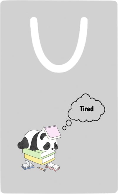 Hacebo® - tired panda metalen boekenlegger - Panda - panda liefhebbers - panda die ligt op een stapel boeken - verjaardag - dieren liefhebbers - cadeau - kado - geschenk - verjaardagscadeau Bladwijzer boekenleggers - 7.6 cm x 5cm