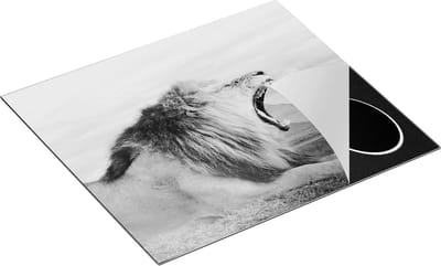 Chefcare Inductie Beschermer Brullende Leeuw - Zwart Wit - 60x50 cm - Afdekplaat Inductie - Kookplaat Beschermer - Inductie Mat