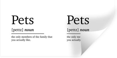 Muurstickers - Sticker Folie - Spreuken - Woordenboek - Pets - Quotes - Huisdieren definitie - 40x20 cm - Plakfolie - Muurstickers Kinderkamer - Zelfklevend Behang - Zelfklevend behangpapier - Stickerfolie