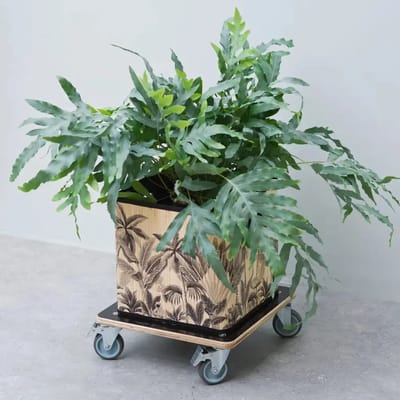 Tablette a roulettes pour plantes - NATURE - Chariot a plantes carré - Bois noir - 38x38 cm - Charge 250 kg