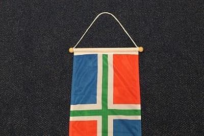 Groningse wimpel 25 x 300cm
