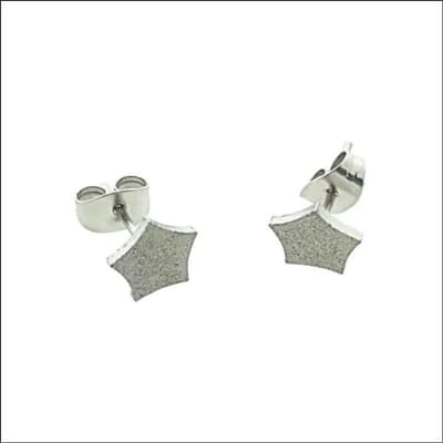 Aramat Jewels | Oorbellen | Zilverkleurige Geometrische Rvs Oorbellen | | | | | | Kinderen, Volwassenen | Verkleurd niet