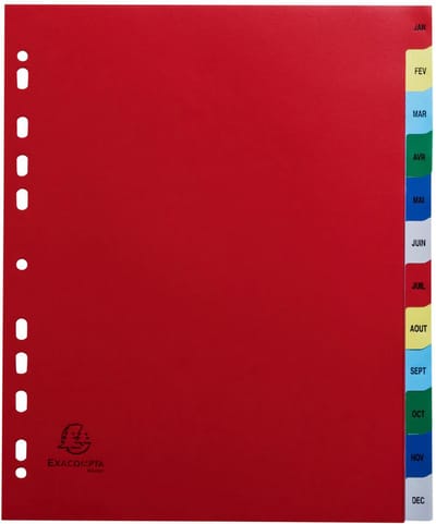 Exacompta 20x Tabbladen met bedrukte tabs in gekleurde PP - 12 tabs - januari/december - A4 maxi - Geassorteerde felle kleuren - 92E