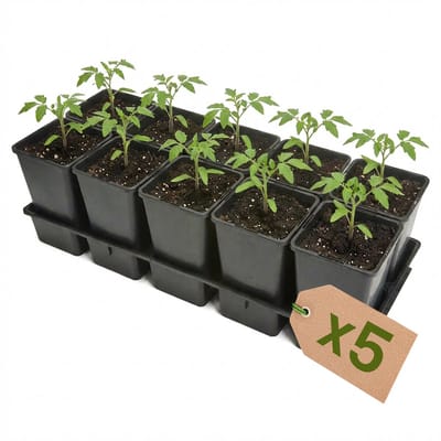 Garronda Set van 5 kweektrays met 10 x 1,7 L potten GD-KW-T
