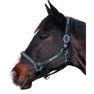 Halster voor paarden Flags&Cup Aachen