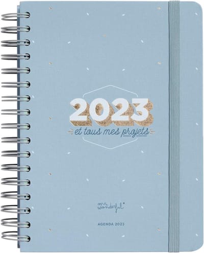 Dagkalender 2023 voor projecten en organisatie