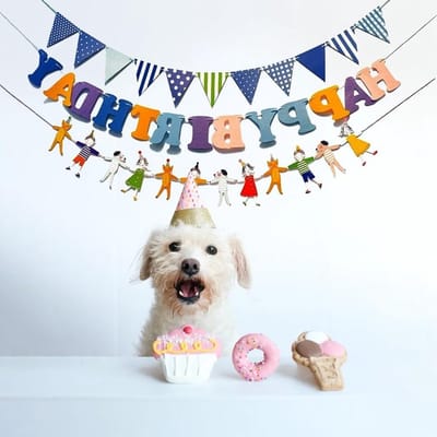 Kleurrijke Verjaardagsdecoratie Set met Vlaggenlijn en Figurenketting voor Jongens en Meisjes, Perfect voor Babyshowers, Eerste Verjaardag en Foto Achtergronden