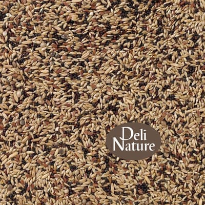 Binnenvogels- Zangzaad- Kanarie- Deli Nature 53 Kanariezaad Zangzaad Extra- 2 kilo