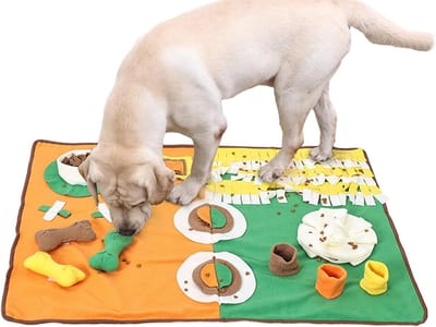 Snuffelkussen Hond - Voer Puzzel - Stimuleert Natuurlijk Gedrag - Bevordert Geurvermogen - 98x71cm - Oranje