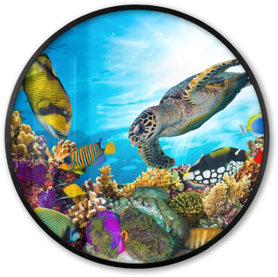 Poster in lijst Rond - Fotolijst 60x60 cm - Posters - Schildpad - Zee - Koraal - Ronde posterlijst zwart - Decoratie - Wanddecoratie woonkamer - Muurdecoratie slaapkamer