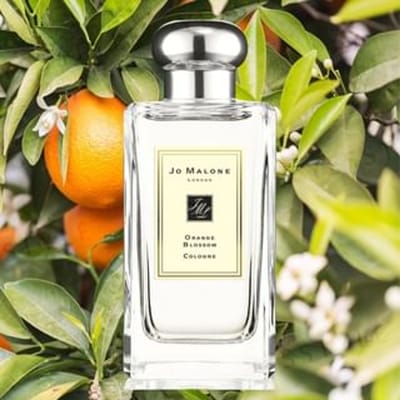 Jo Malone Oranjebloesem Cologne Unisex 30ml