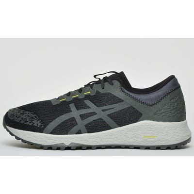 Asics Alpine XT All Terrain Heren
