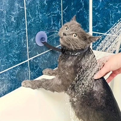 Een Veelzijdige Verzorgingsbadlijn voor Katten en Honden, een ZuignapHalsband die Huisdieren Vastzet Tijdens het Wassen zwart